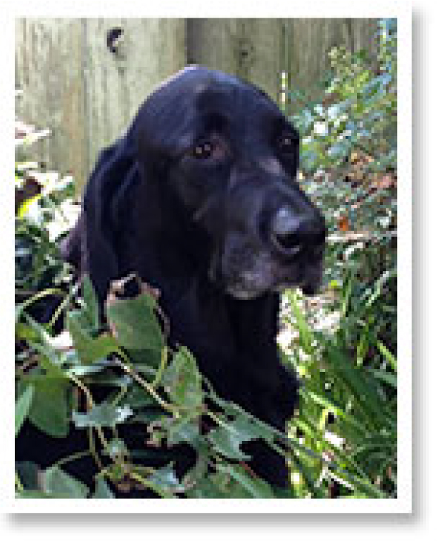 Photo Credit: Michael Patton